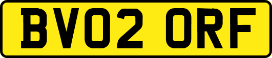 BV02ORF