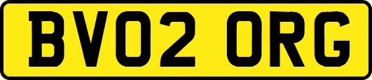 BV02ORG