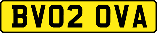 BV02OVA
