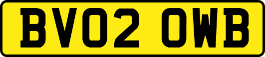 BV02OWB