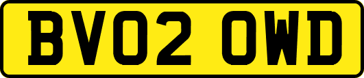 BV02OWD