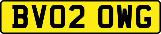 BV02OWG