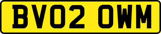 BV02OWM