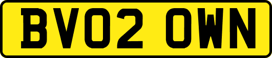 BV02OWN