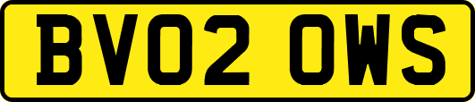 BV02OWS