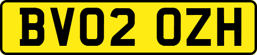 BV02OZH