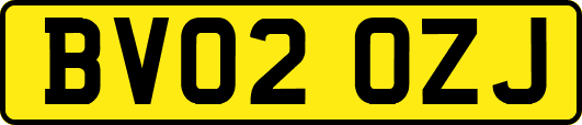 BV02OZJ