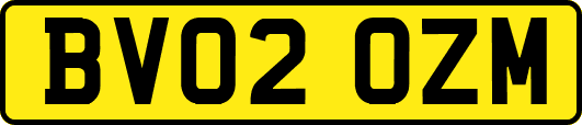 BV02OZM