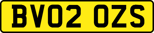 BV02OZS