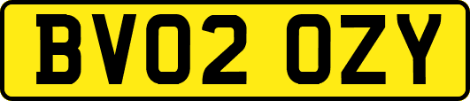 BV02OZY
