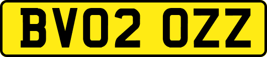 BV02OZZ