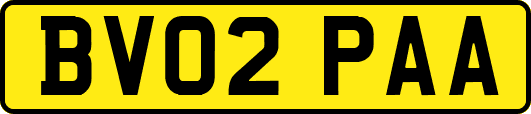 BV02PAA