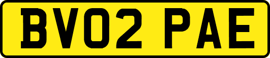 BV02PAE