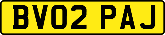 BV02PAJ