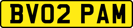 BV02PAM