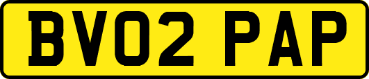 BV02PAP
