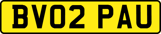 BV02PAU