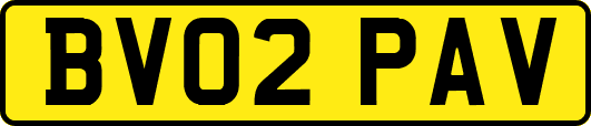 BV02PAV