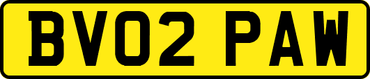 BV02PAW