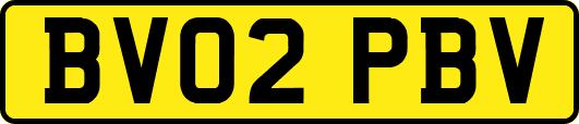 BV02PBV