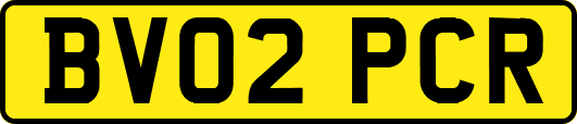 BV02PCR
