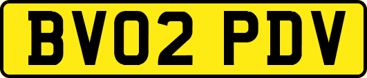 BV02PDV