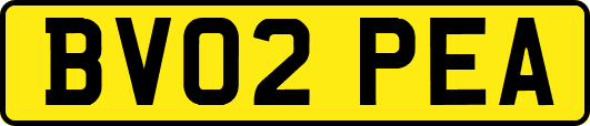 BV02PEA