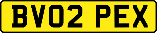 BV02PEX