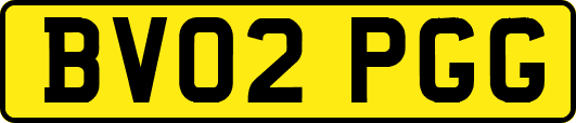 BV02PGG