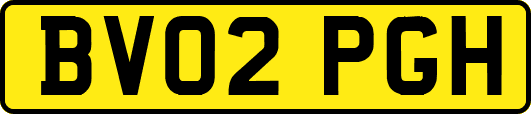 BV02PGH