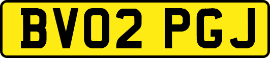 BV02PGJ