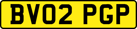 BV02PGP