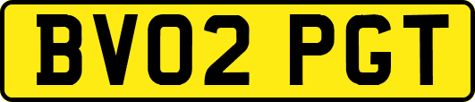 BV02PGT