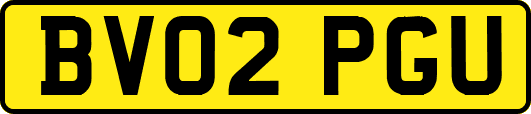 BV02PGU