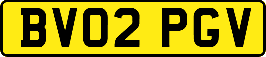 BV02PGV