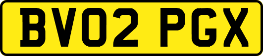 BV02PGX
