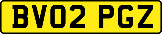BV02PGZ