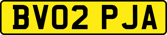 BV02PJA