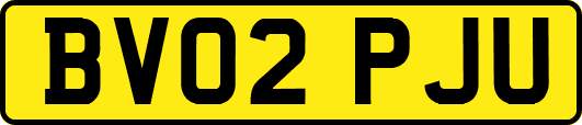 BV02PJU