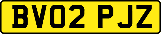 BV02PJZ