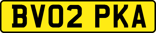 BV02PKA