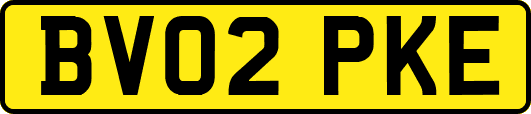 BV02PKE