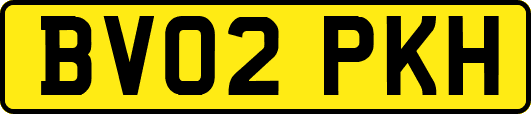 BV02PKH