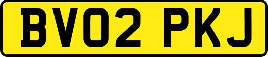 BV02PKJ
