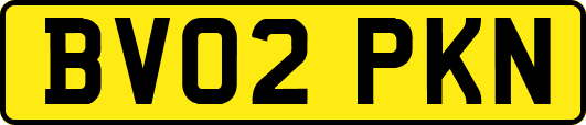 BV02PKN