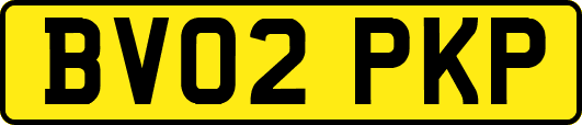 BV02PKP