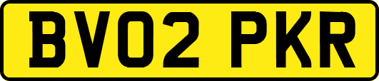 BV02PKR