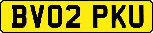 BV02PKU