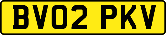 BV02PKV