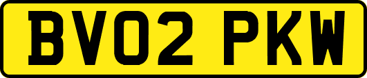 BV02PKW